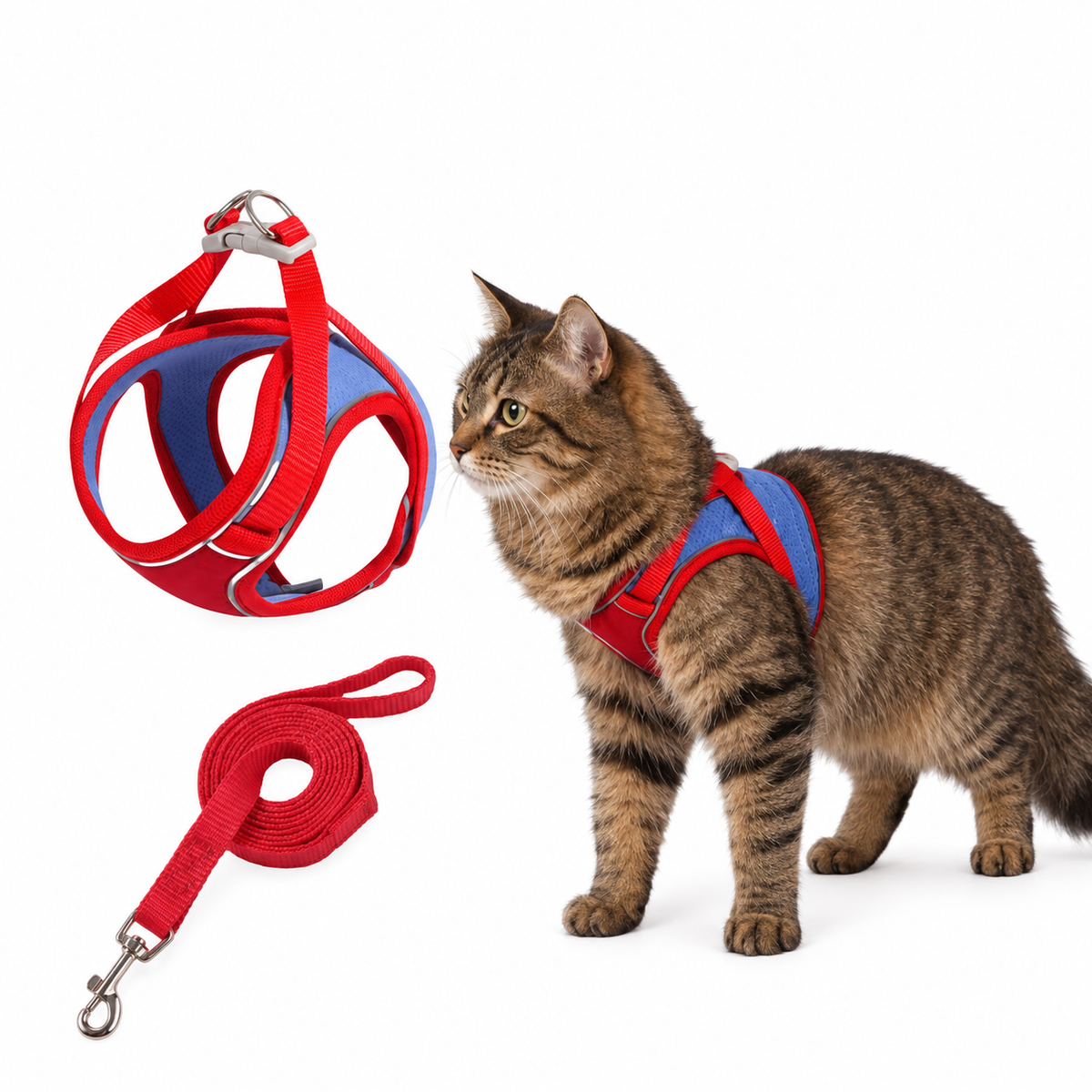 Kato kattenharnas rood met contrasterende tabby kat op witte achtergrond
