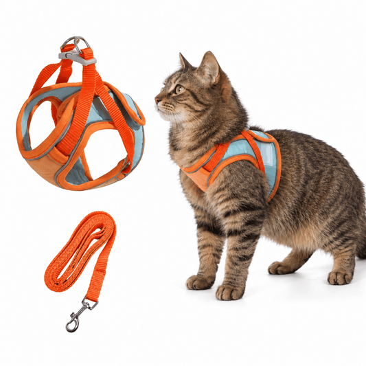 Kato Kattenharnas | Veilig Vest-Design, Ademend Mesh, Reflecterende Details - Hebbr