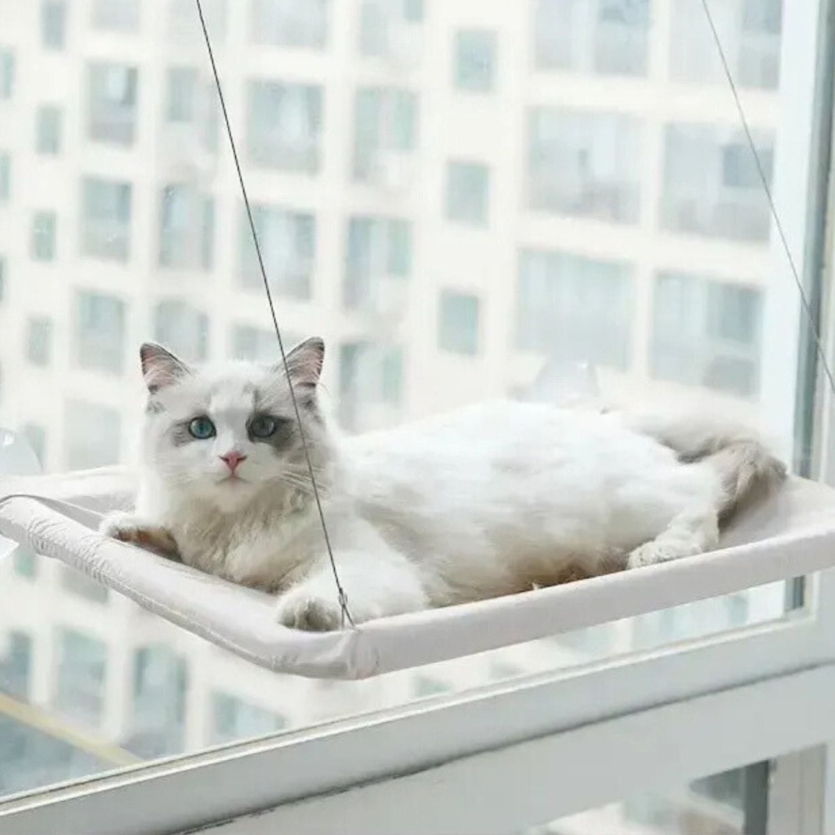 Katten Hangmat voor het Raam - Zacht, Afneembaar en Wasbaar, Tot 22 kg - Hebbr