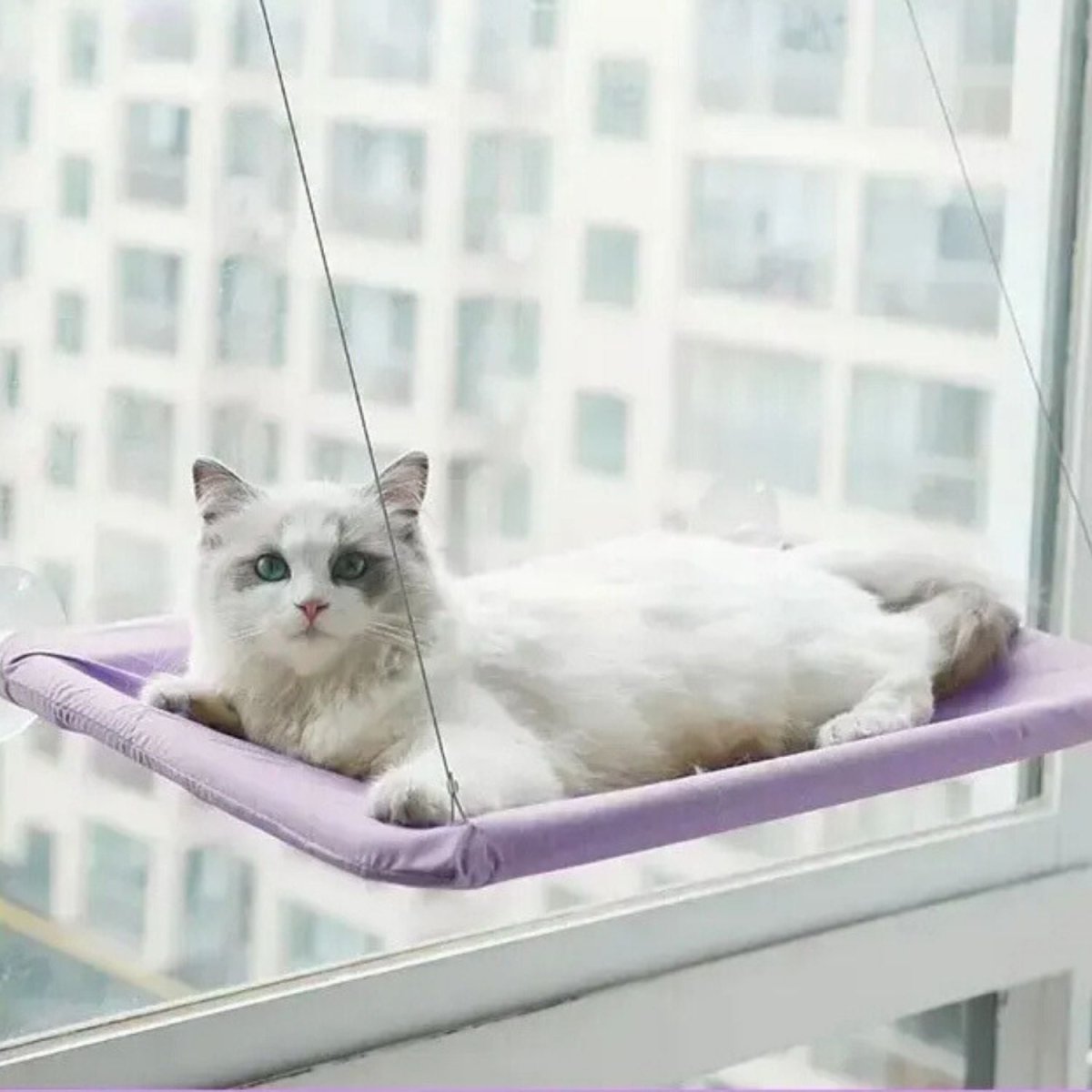 Katten Hangmat voor het Raam - Zacht, Afneembaar en Wasbaar, Tot 22 kg - Hebbr