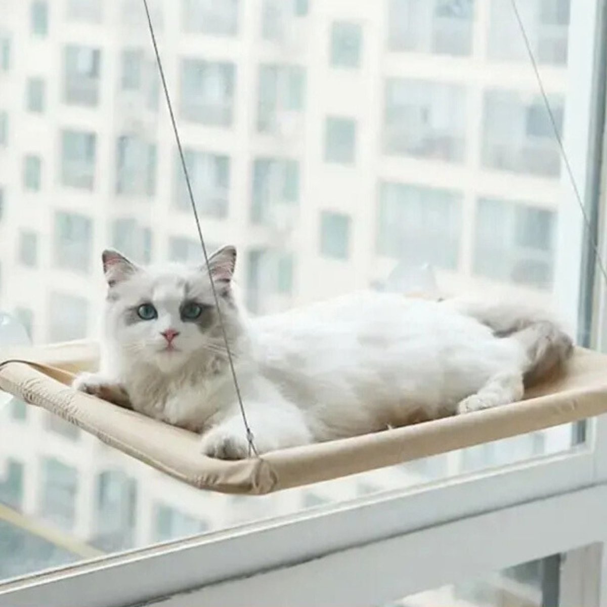 Katten Hangmat voor het Raam - Zacht, Afneembaar en Wasbaar, Tot 22 kg - Hebbr