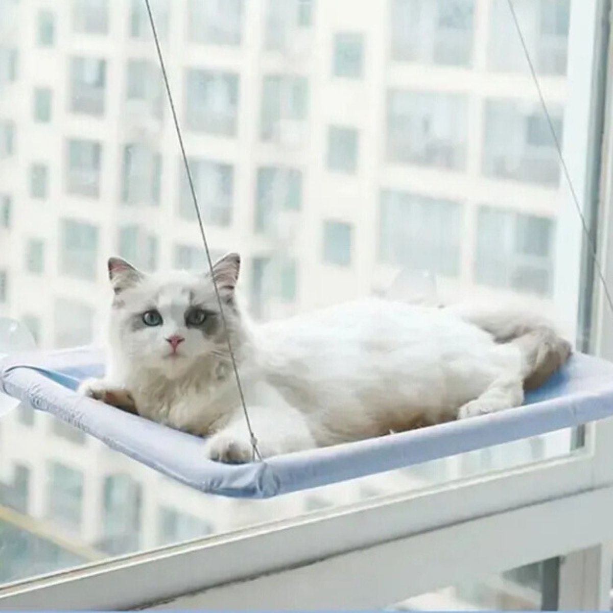 Katten Hangmat voor het Raam - Zacht, Afneembaar en Wasbaar, Tot 22 kg - Hebbr