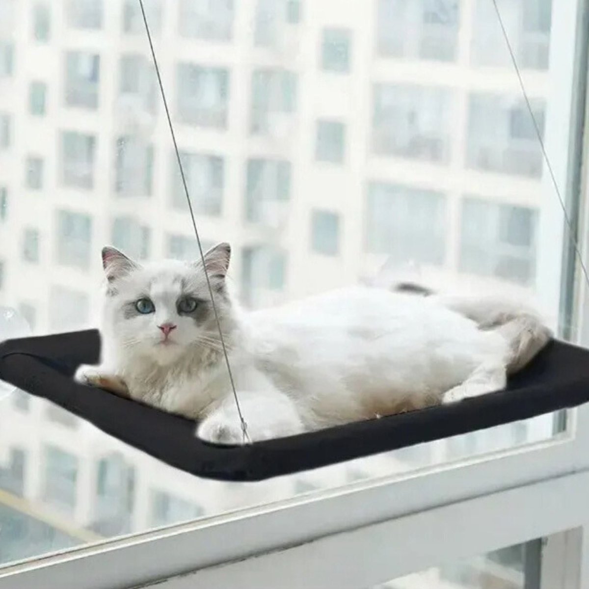 Katten Hangmat voor het Raam - Zacht, Afneembaar en Wasbaar, Tot 22 kg - Hebbr
