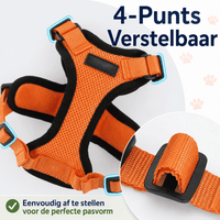 Katten Harnas | Ademend, Verstelbaar, Ontsnappingsbestendig - Hebbr