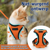 Katten Harnas | Ademend, Verstelbaar, Ontsnappingsbestendig - Hebbr