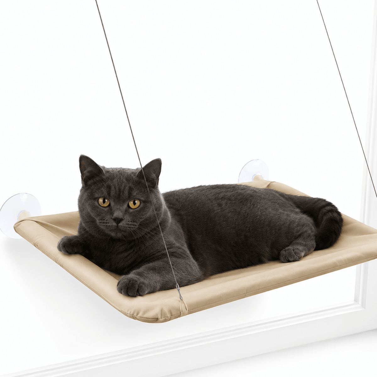 Katten Raamhangmat - Hebbr