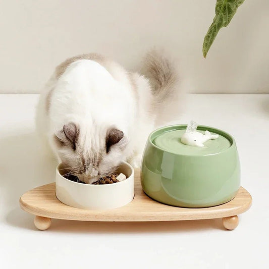 Kattenfontein van Keramiek met Stromend Water - 1,3 Liter Capaciteit, Antislip Ontwerp - Hebbr