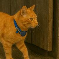 Kattenhalsband met AirTag houder en reflecterende strip - Verstelbaar en comfortabel voor actieve katten - Hebbr