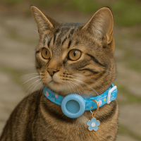 Kattenhalsband met AirTag - houder, verstelbaar en lichtgewicht voor buitengebruik - Hebbr