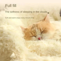 Kattenkussen 50×40 cm Zacht Polyester – Wasbaar en Antislip Beige - Hebbr