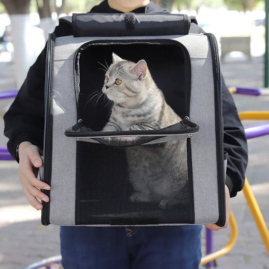 Kattenrugzak 30×25×40 cm – Lichtgewicht Ademend Gaas voor Huisdieren Zwart - Hebbr