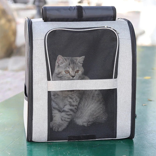 Kattenrugzak 30×25×40 cm – Lichtgewicht Ademend Gaas voor Huisdieren Zwart - Hebbr