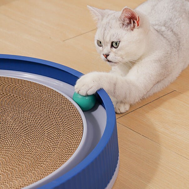 Kattenspeelgoed Glace - Duurzaam krabmeubel met interactieve speelbal voor binnengebruik - Hebbr
