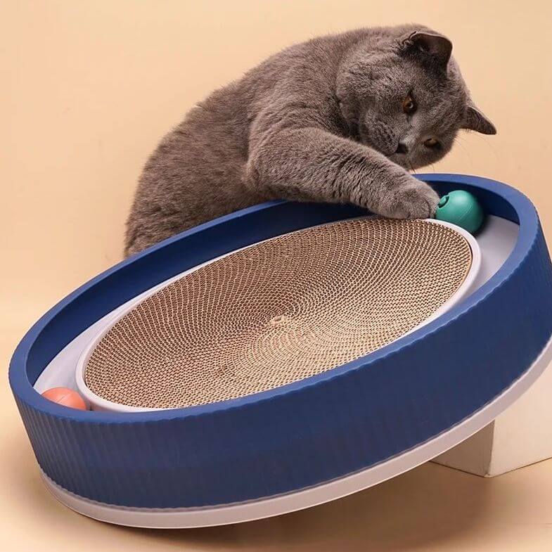 Kattenspeelgoed Glace - Duurzaam krabmeubel met interactieve speelbal voor binnengebruik - Hebbr