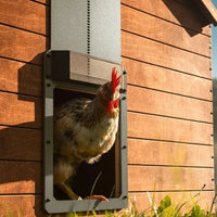 Kippenluik | Automatisch met Lichtsensor, Weerbestendig - Hebbr