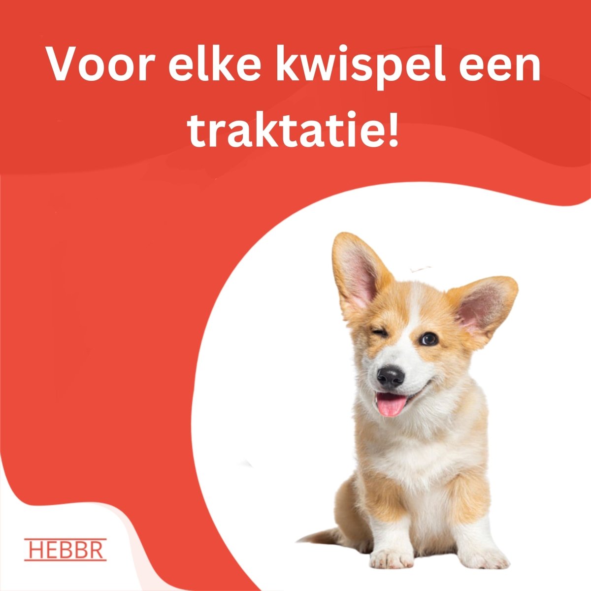 Kluifjes Mix - Hebbr