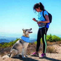 Koelende Sjaals Voor Huisdieren - Verkoelende Sjaals Voor Honden en Katten, Herbruikbaar en Ademend - Hebbr