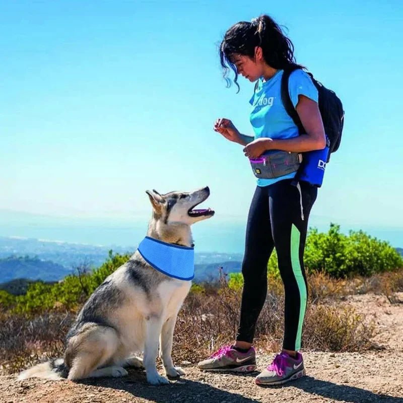 Koelende Sjaals Voor Huisdieren - Verkoelende Sjaals Voor Honden en Katten, Herbruikbaar en Ademend - Hebbr