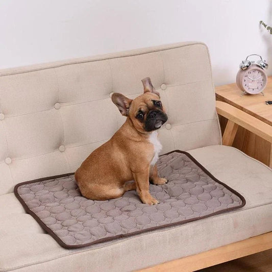 Koelmat voor Honden - Verkoelende Mat in 4 Kleuren en 6 Maten, Eenvoudig te Reinigen - Hebbr
