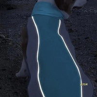 Koelvest voor Honden en Katten - Ademend Polyester, Reflecterend, Perfect voor Zomeractiviteiten - Hebbr