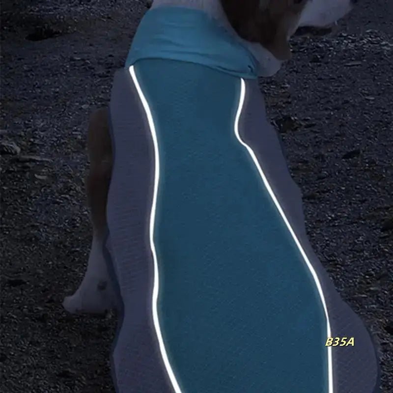 Koelvest voor Honden en Katten - Ademend Polyester, Reflecterend, Perfect voor Zomeractiviteiten - Hebbr