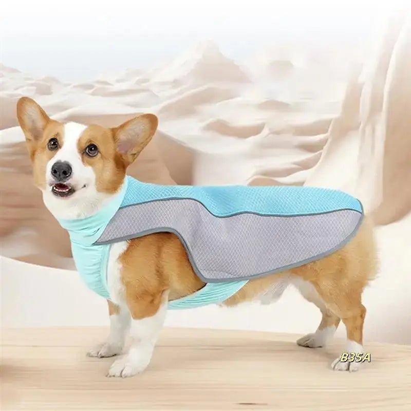 Koelvest voor Honden en Katten - Ademend Polyester, Reflecterend, Perfect voor Zomeractiviteiten - Hebbr