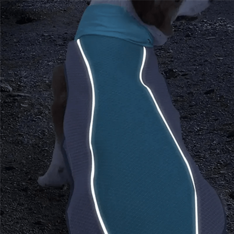 Koelvest voor Honden en Katten - Ademend Polyester, Reflecterend, Perfect voor Zomeractiviteiten - Hebbr
