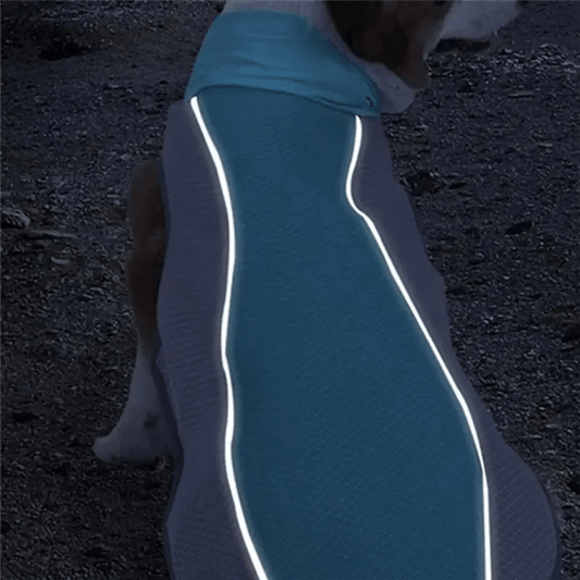 Koelvest voor Honden en Katten - Ademend Polyester, Reflecterend, Perfect voor Zomeractiviteiten - Hebbr