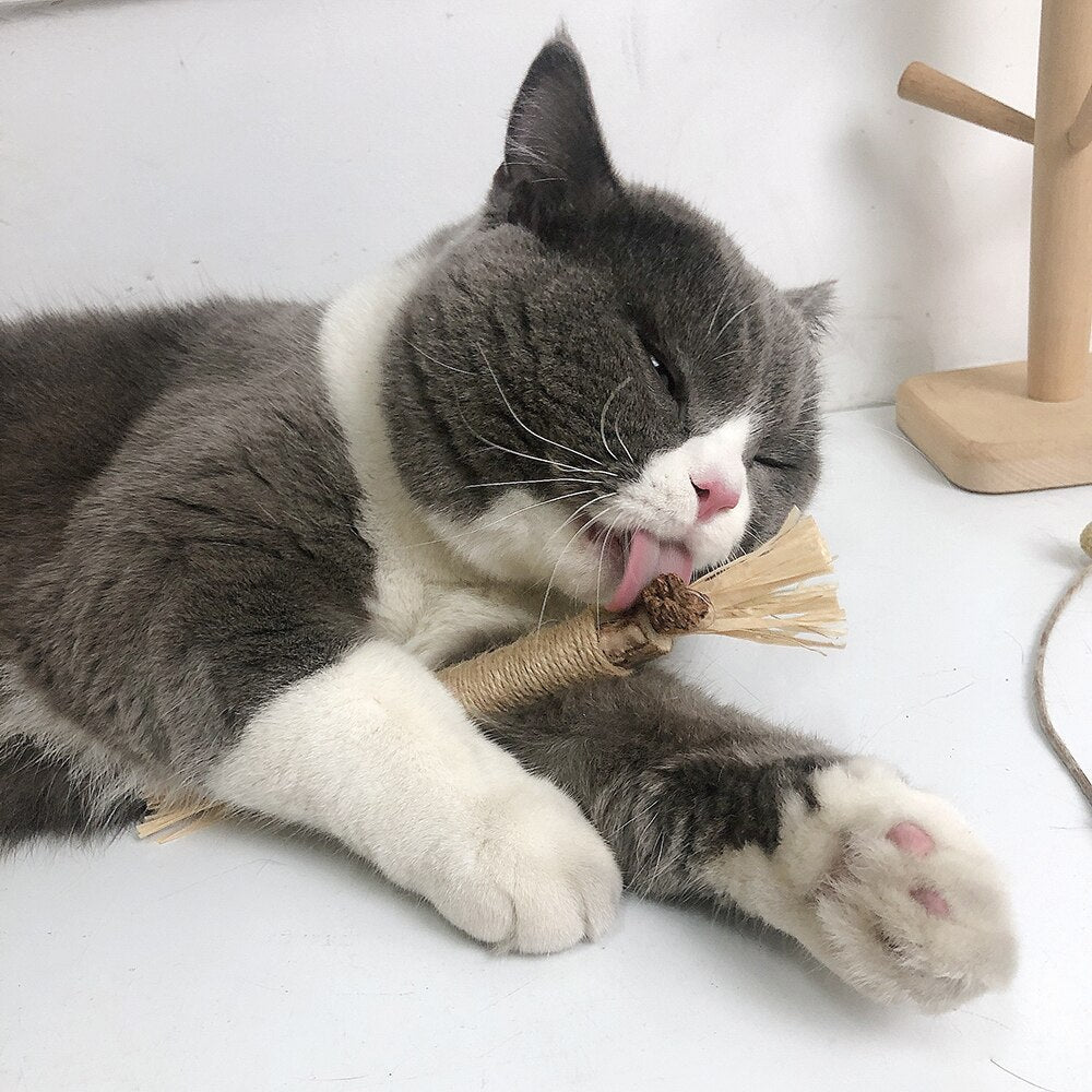 Krabpaal Kat van Duurzaam Karton met Kattenkruid - Compact en Lichtgewicht, 12 cm Hoog - Hebbr