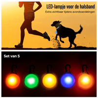 LED Halsband Oplaadbaar - Hebbr