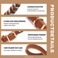 Lero Hondenhalsband | Leren, Verstelbaar voor Alle Hondenrassen - Hebbr