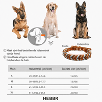 Lero Hondenhalsband | Leren, Verstelbaar voor Alle Hondenrassen - Hebbr
