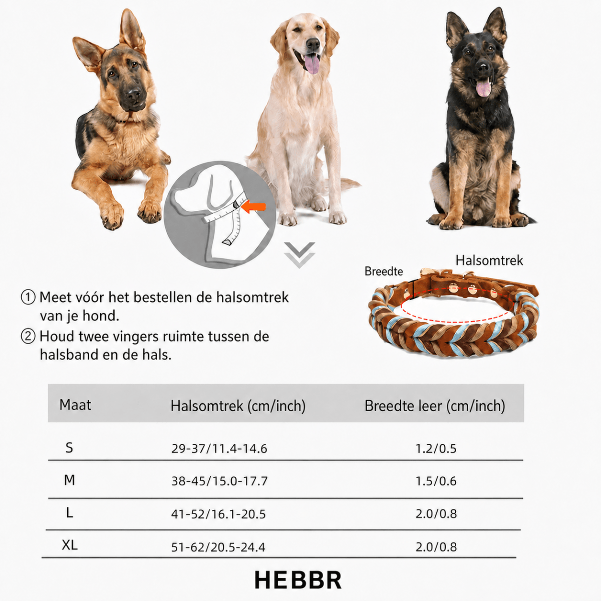 Lero Hondenhalsband | Leren, Verstelbaar voor Alle Hondenrassen - Hebbr