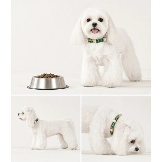 Liora Hondenhalsband | Verstelbaar PU Leer, Krokodillenprint voor Kleine en Middelgrote Honden - Hebbr