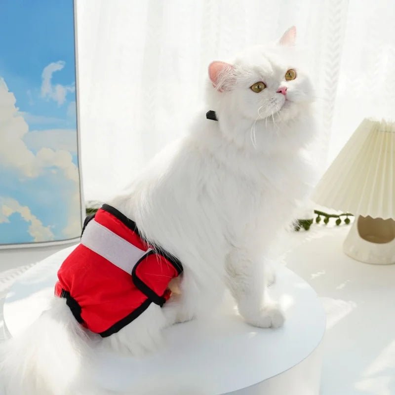 Loopsbroekje 33 - 50 cm – Ademend en Waterdicht wasbaar - Hebbr