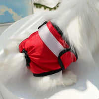 Loopsbroekje 33 - 50 cm – Ademend en Waterdicht wasbaar - Hebbr