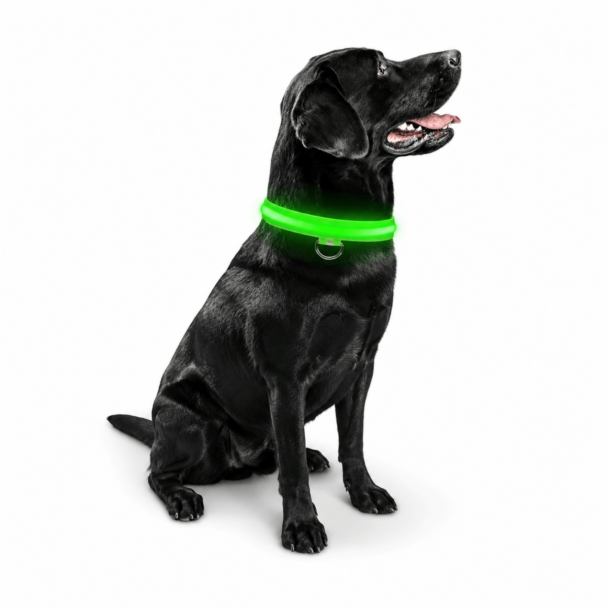 Lumo Lichtgevende Halsband Hond | USB Oplaadbaar, 3 Lichtmodi, Veiligheid - Hebbr