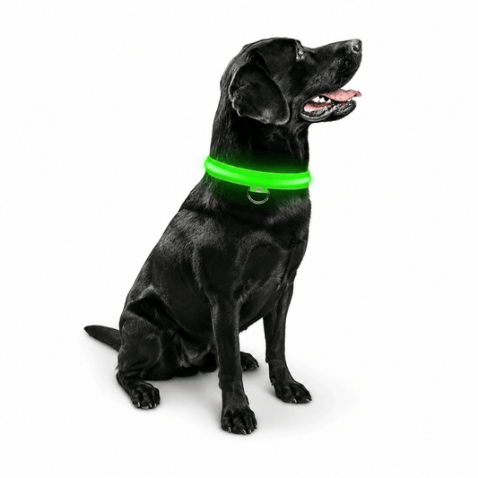 Lumo Lichtgevende Halsband Hond | USB Oplaadbaar, 3 Lichtmodi, Veiligheid - Hebbr