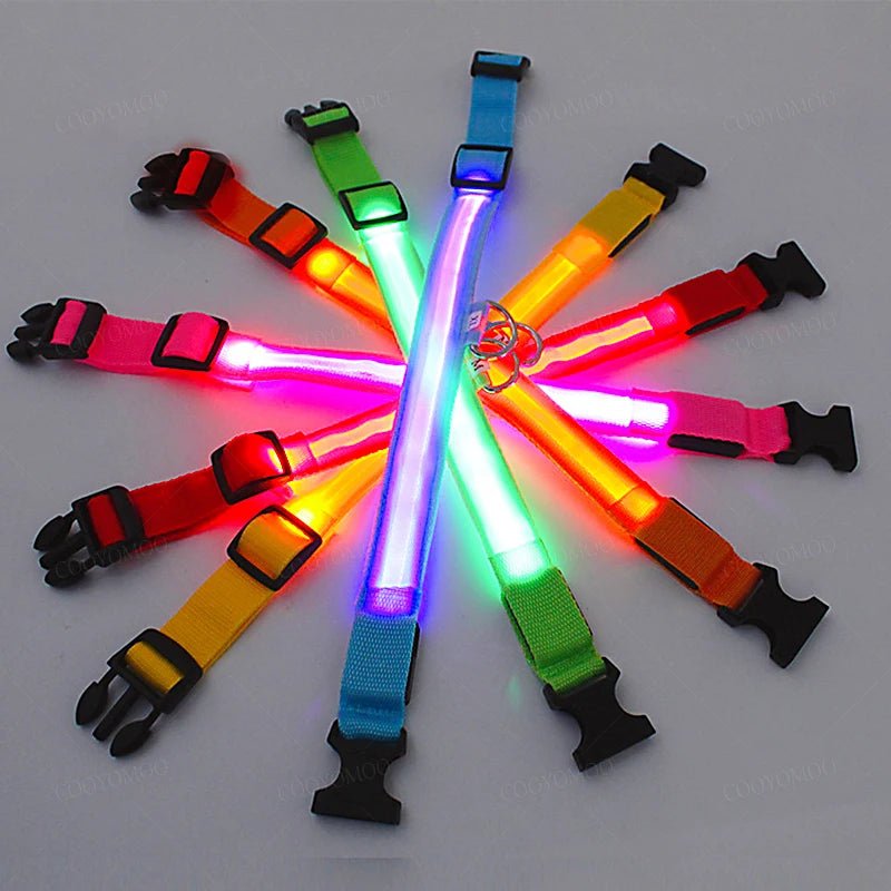 Lumo Lichtgevende Halsband Hond | USB Oplaadbaar, 3 Lichtmodi, Veiligheid - Hebbr