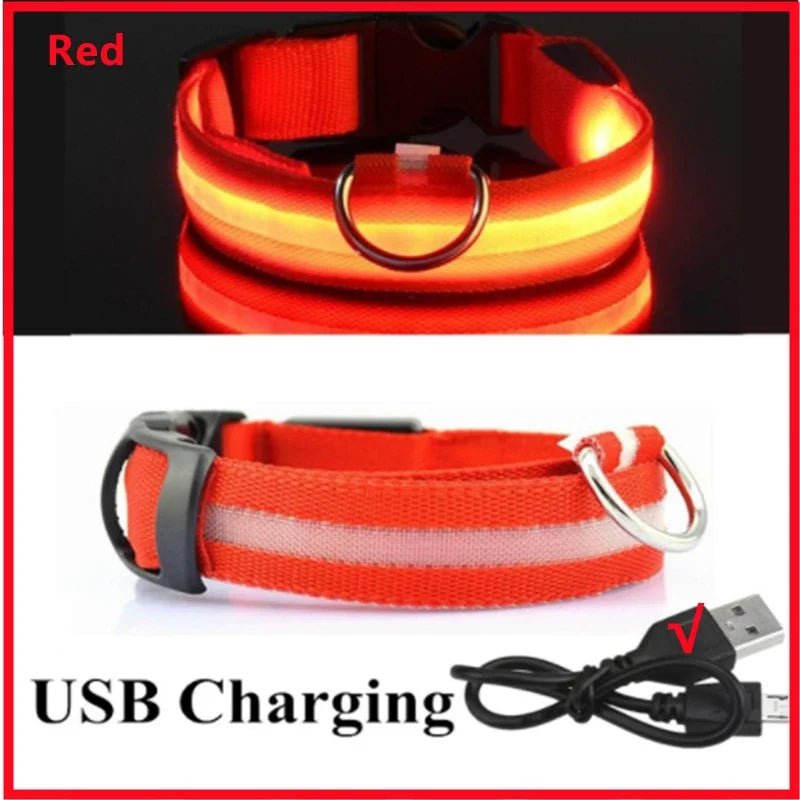 Lumo Lichtgevende Halsband Hond | USB Oplaadbaar, 3 Lichtmodi, Veiligheid - Hebbr