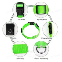 Lumo Lichtgevende Halsband Hond | USB Oplaadbaar, 3 Lichtmodi, Veiligheid - Hebbr