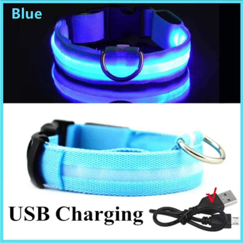Lumo Lichtgevende Halsband Hond | USB Oplaadbaar, 3 Lichtmodi, Veiligheid - Hebbr