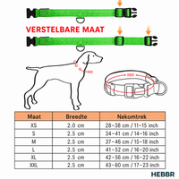 Lumo Lichtgevende Halsband Hond | USB Oplaadbaar, 3 Lichtmodi, Veiligheid - Hebbr