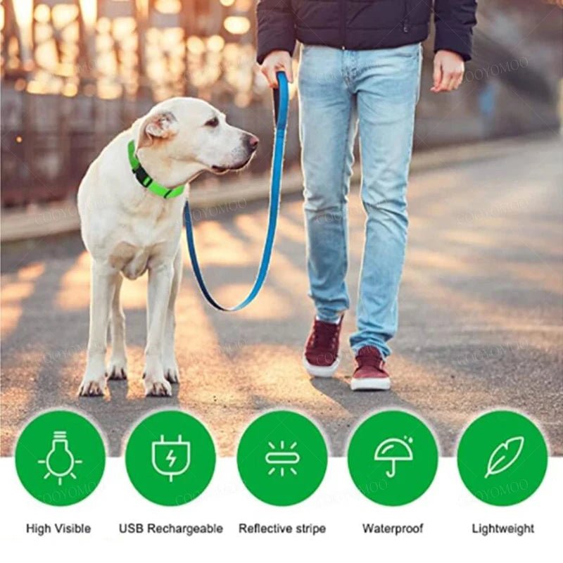Lumo Lichtgevende Halsband Hond | USB Oplaadbaar, 3 Lichtmodi, Veiligheid - Hebbr