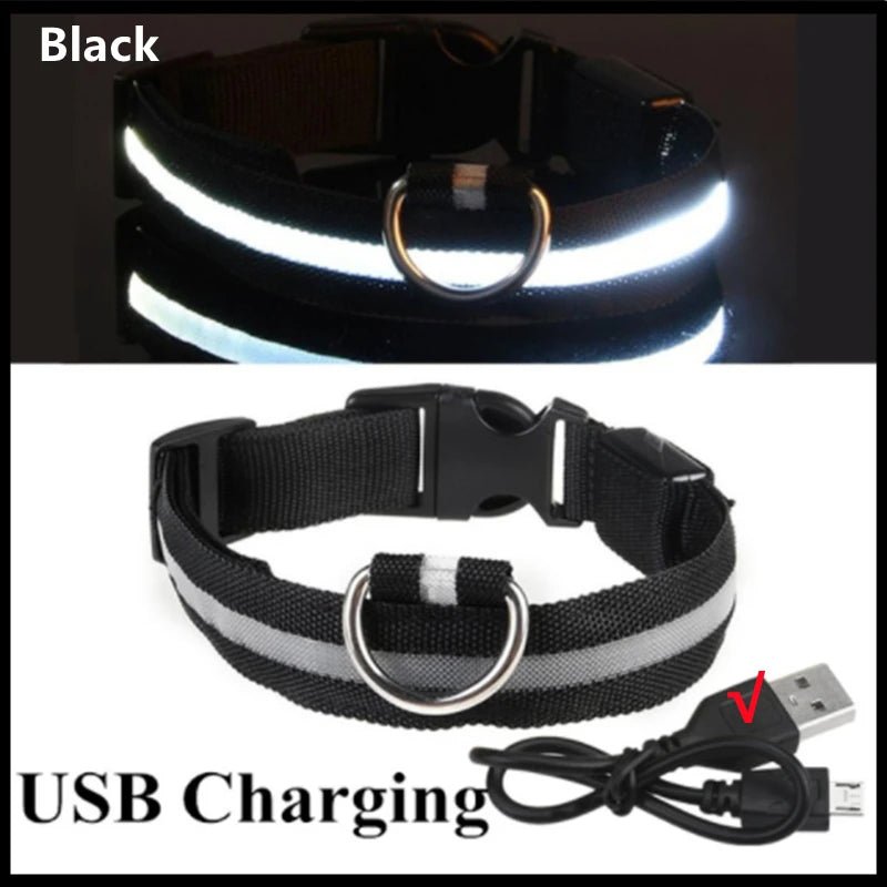 Lumo Lichtgevende Halsband Hond | USB Oplaadbaar, 3 Lichtmodi, Veiligheid - Hebbr
