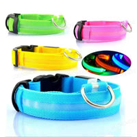 Lumo Lichtgevende Halsband Hond | USB Oplaadbaar, 3 Lichtmodi, Veiligheid - Hebbr