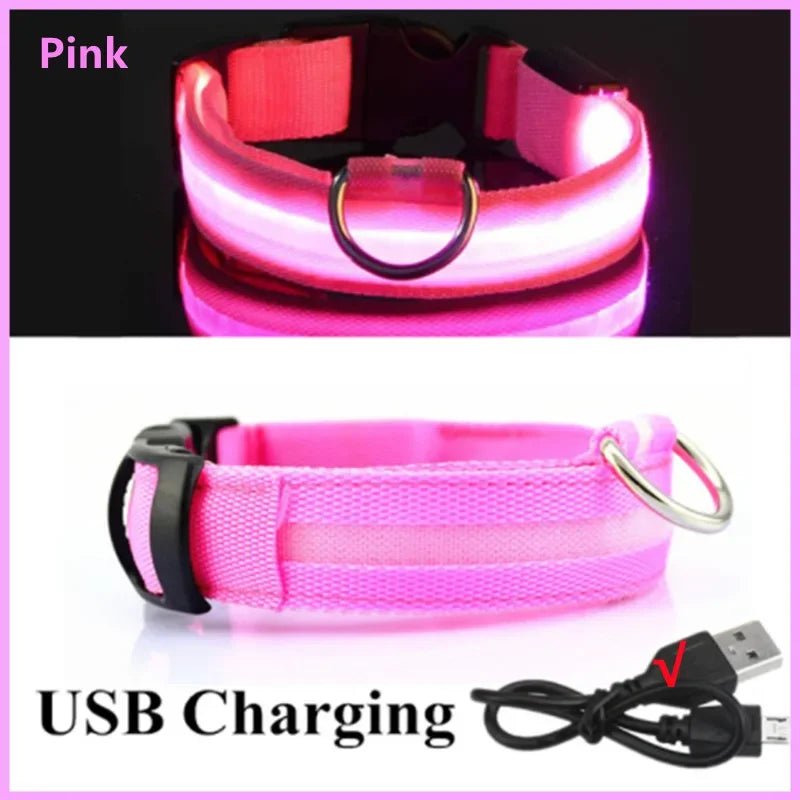 Lumo Lichtgevende Halsband Hond | USB Oplaadbaar, 3 Lichtmodi, Veiligheid - Hebbr