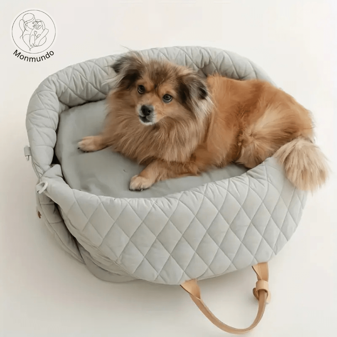 Luxe 2 - in - 1 Transporttas en Autostoel voor Honden en Katten – Veilig en Comfortabel - Hebbr