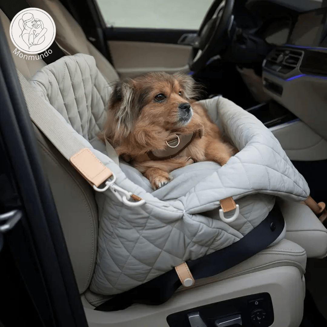 Luxe 2 - in - 1 Transporttas en Autostoel voor Honden en Katten – Veilig en Comfortabel - Hebbr