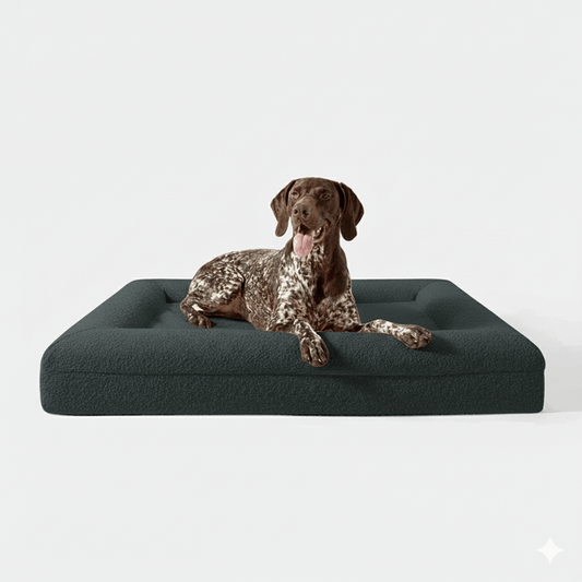 Luxe Orthopedisch Hondenbed van Geheugenfoam met Verwijderbare Wasbare Hoes - Waterdichte Onderkant - Hebbr